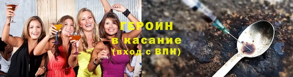 прущие грибы Алзамай