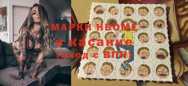прущие грибы Алзамай