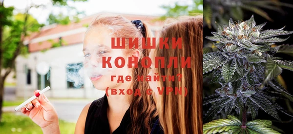 прущие грибы Алзамай