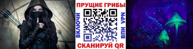 Псилоцибиновые грибы GOLDEN TEACHER  omg ONION  Бодайбо 