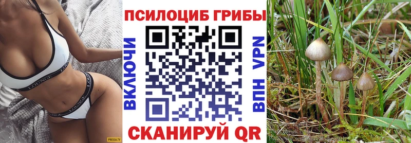 Псилоцибиновые грибы мухоморы Бодайбо