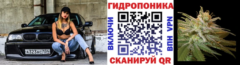Бошки марихуана White Widow  что такое   ОМГ ОМГ вход  Бодайбо 